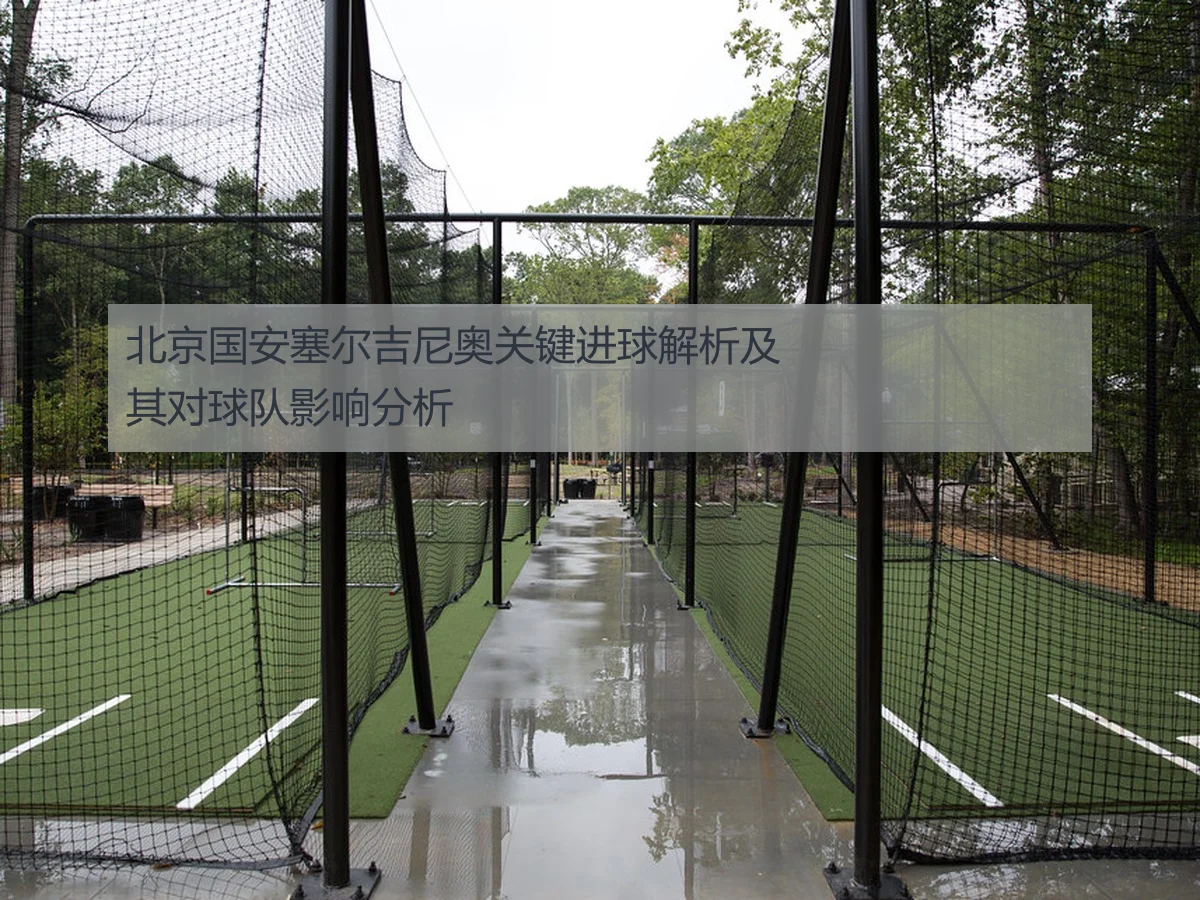 北京国安塞尔吉尼奥关键进球解析及其对球队影响分析